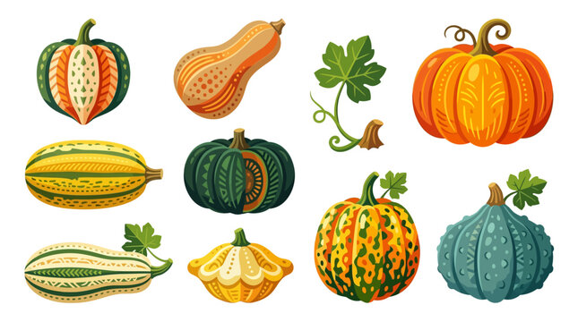 Variety of colorful pumpkin types.