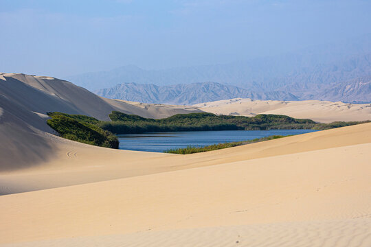 Desert lagoon oasis with sand dunes in Mor&oacute;n Peru