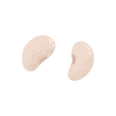 Fototapeta premium White kidney beans