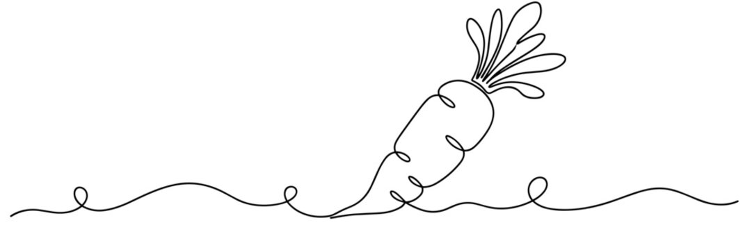 Carrot leaning on continuous line in minimalist white space, none editable strokes