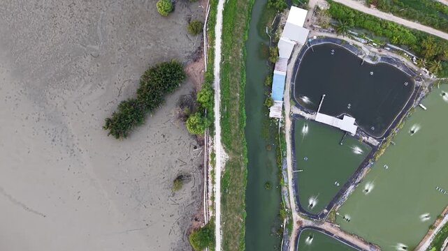 Top-down drone footage of coastal aquaculture ponds and access road at Sungai Udang, Nibong Tebal.