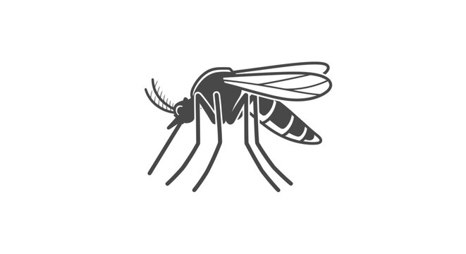 Detailed illustration of a mosquito insect.
