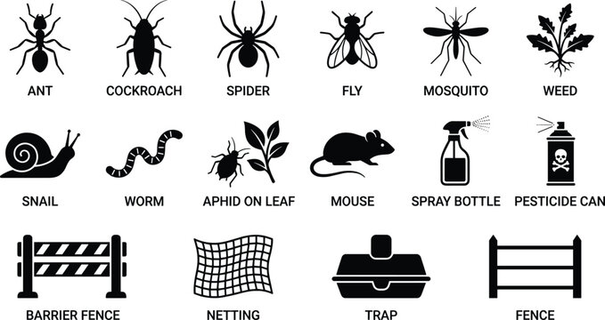 Black and white vector illustration of pests, pest control tools, and prevention methods in flat design