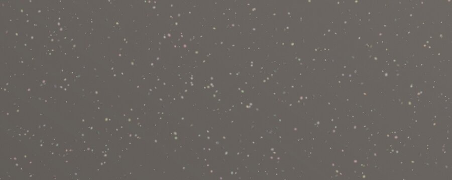 Grey Mixed River Pebble Seamless Texture with Smooth Rounded Natural Stone Surface