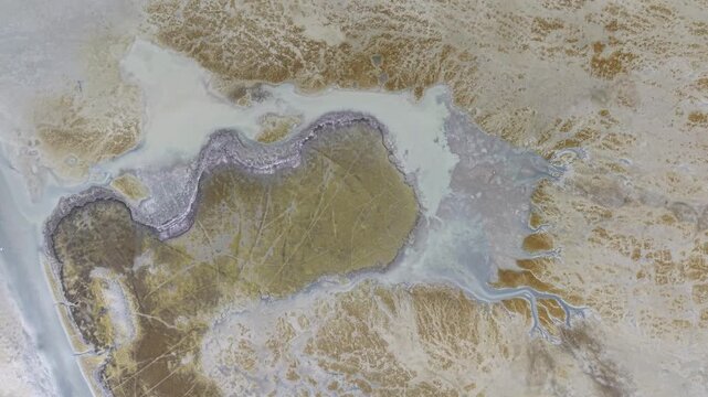 Aerial view of coastal mudflats and tidal channels with marsh vegetation.