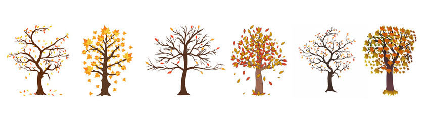 Fototapeta premium Diverse trees showing seasonal change from bare to autumn foliage on transparent background