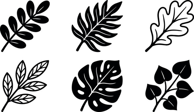 Black and white botanical line art with six different leaf silhouettes