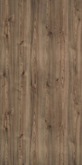 Obraz premium texture of wood