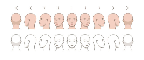 Fototapeta premium Male Head 360 Degree Rotation Set, Bald Character Face Angles Front Side Back View, Anatomy Reference, Turnaround Sheet, Multi Angle Illustration