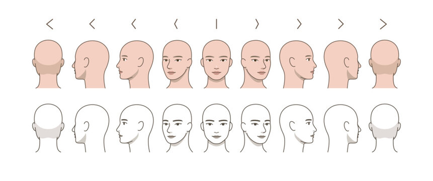 Male Head 360 Degree Rotation Set, Bald Character Face Angles Front Side Back View, Anatomy Reference, Turnaround Sheet, Multi Angle Illustration