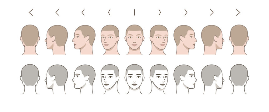 Male Head 360 Degree Rotation Set with Short Hair and Stubble, Face Angles Front Side Back View, Anatomy Reference, Character Turnaround Sheet, Multi Angle Illustration
