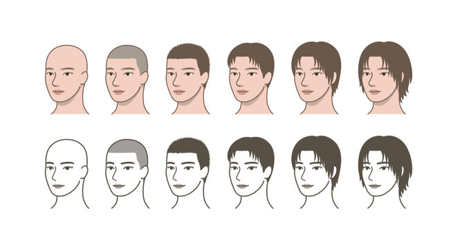 Male Hair Growth Progression and Hairstyle Stages Set