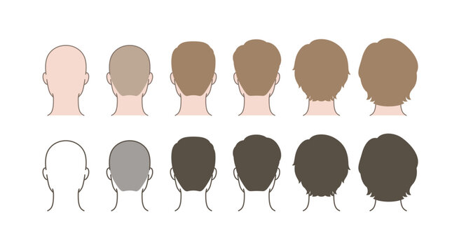 Male Hair Growth Progression Back View, Rear Head Hairstyle Transformation from Bald to Long Hair, Hair Length Comparison Grooming Chart Illustration