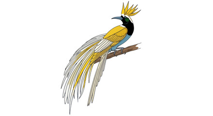 Greater bird of paradise perched on a branch vector illustration isolated on white © Kental