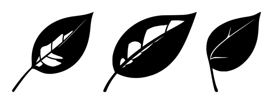 Eco-friendly packaging leaf icon set with flat minimalist design and sharp outlines featuring leaf, packaging, sustainability with environment and green