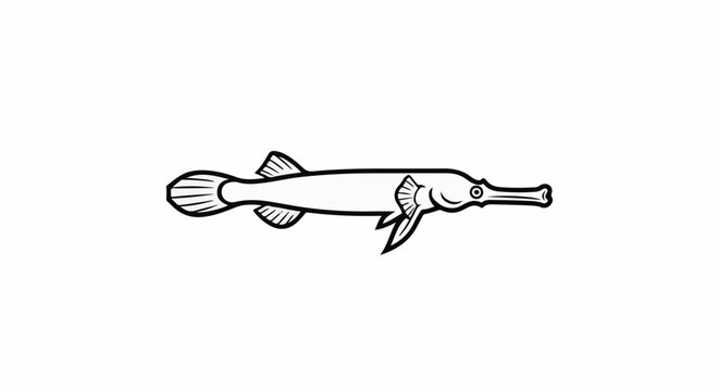 Black and white outline drawing of a pipefish with a long snout