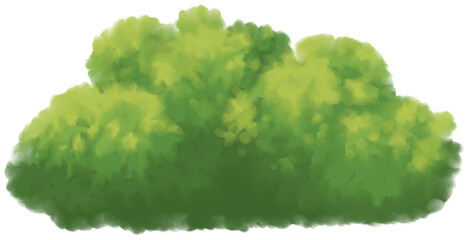 Fototapeta premium forest