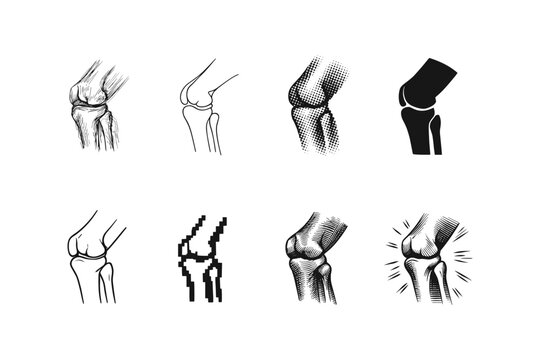 Collection of diverse knee joint anatomical illustrations in various artistic styles