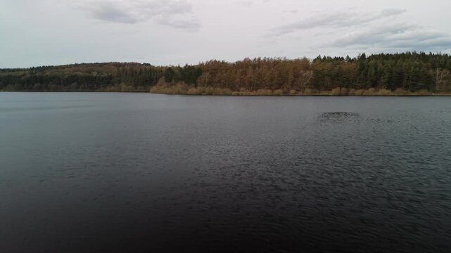 Calm reservoir view with forest in Harrogate, North Yorkshire's tranquility