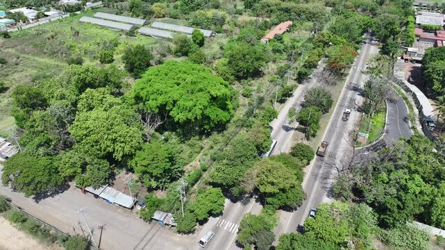 Vehicles Driving on Tropical Latin American Highway with Vegetated Median