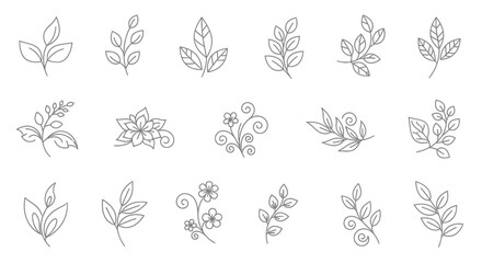 Minimalist botanical line art collection: leaves, branches, flowers, swirls © tempe