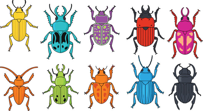 Colorful Beetle Vector Set Featuring Various Species and Bright Patterns for Insect, Nature, and Wildlife Illustrations