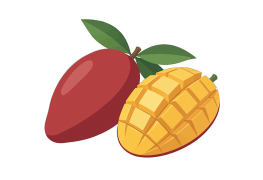 Mango Fruit Vector Illustration, Realistic Isolated Design for Food and Beverage Industry
