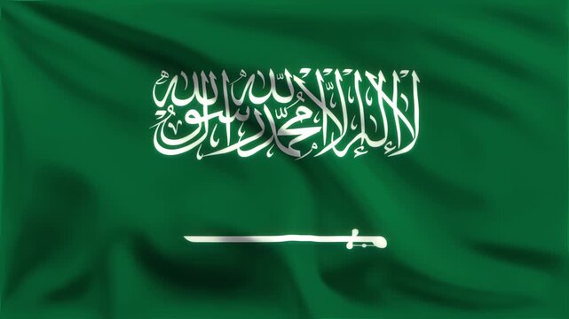 flag of saudi arabia. loop