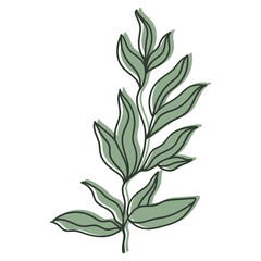 Fototapeta premium Herb Leaf Icon 
