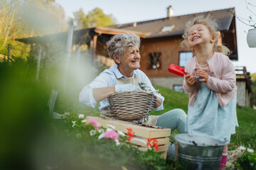 Senior grandmother with small granddaughter gardening during spring season.