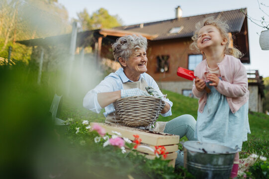 Senior grandmother with small granddaughter gardening during spring season.