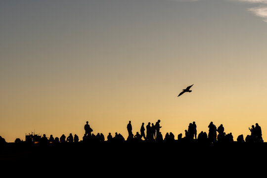 Sunset silhouette crowd in Oslo Norway with skyline and bird beneath wide sky over landscape horizon creating a peaceful urban evening