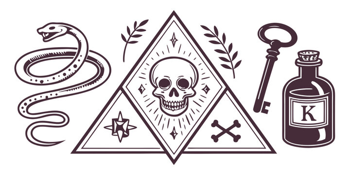 Mystical occult symbols with skull snake and vintage key, vector