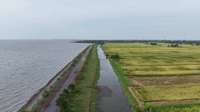Aerial drone view of paddy fields and sea at Ban Pecah