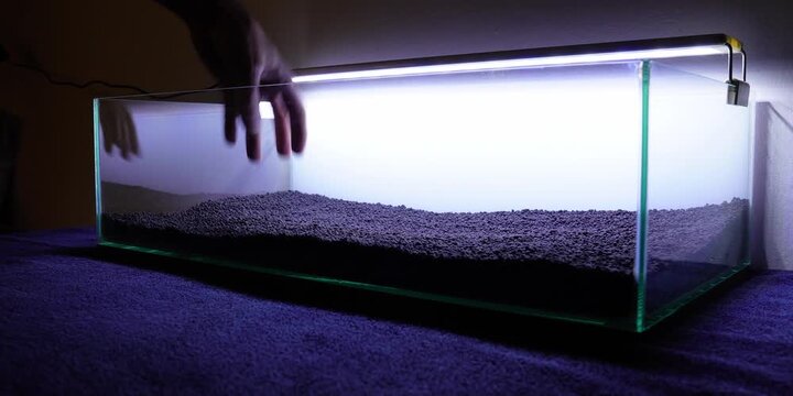 Aquascape Aquascaping Fish tank
