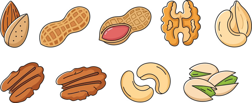 Nut Varieties Set including Almond Peanut Walnut Cashew and Pistachio
