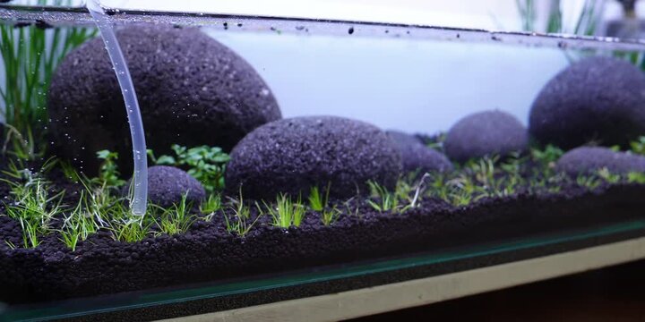 Aquascape Aquascaping Fish tank