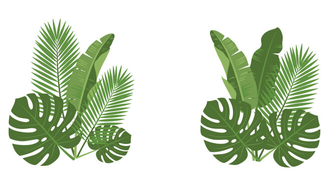 A vibrant monstera leaf illustration evokes a feeling of freshness and tropical tranquility, ideal for website design or adding a natural touch to mar