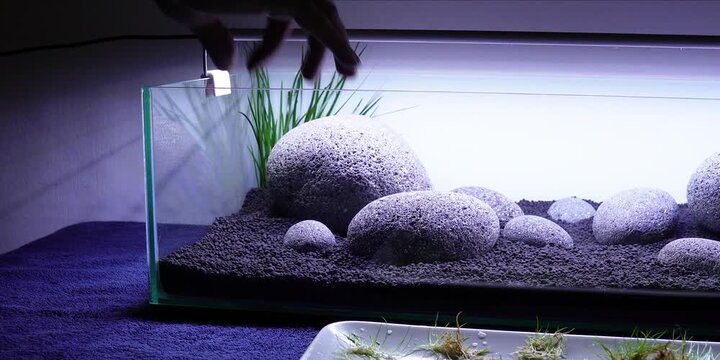 Aquascape Aquascaping Fish tank