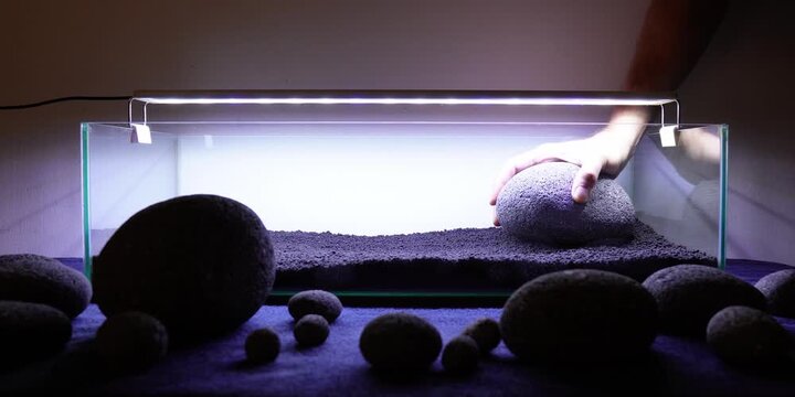 Aquascape Aquascaping Fish tank