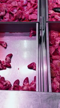 Vertical video. Raw Chicken Feet and Animal Organs Displayed in Metal Counter at Butcher Shop Market. Fresh Poultry Products Prepared for Cooking and Retail Sale