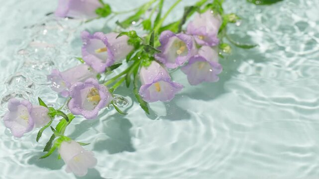 Purple bell-shaped flowers floating on rippling water
