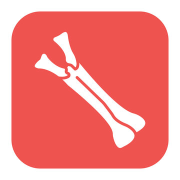 Ulna Icon