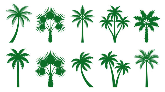 Collection of various palm tree silhouettes.