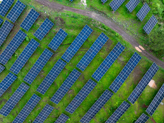 Aerial view of neatly arranged solar photovoltaic panels on a green hillside