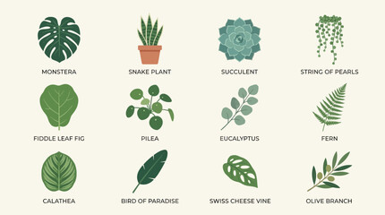 Collection of various green leafy plants. © Suro