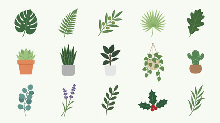 Collection of various green leafy plants. © Suro