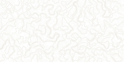 Fototapeta premium Brown topographic map lines on white background for design and texture