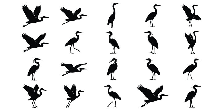 Heron silhouette collection, 20 black bird vector icons, flying and standing egret shapes, elegant crane wildlife illustrations for nature logos