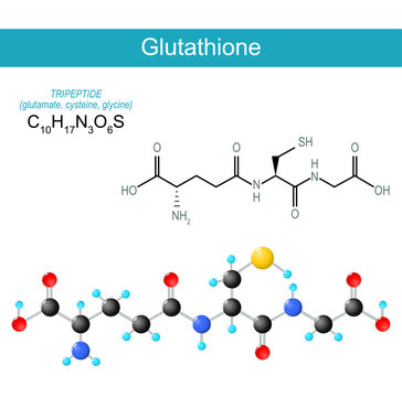glutathione tripeptide Tripeptide Images – Browse 425 Stock Photos, Vectors, and Video